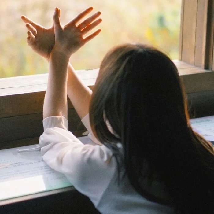 亚马逊萌猴奇遇记